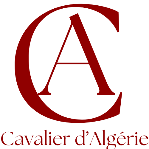 Cavalier d 'Algérie