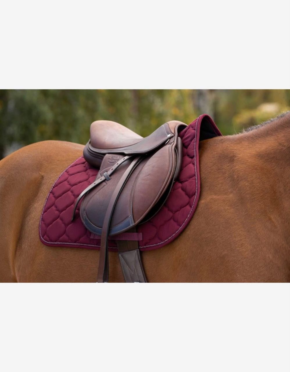 Tapis de selles Riding World – Image 3